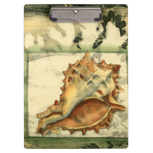 Carpeta De Pinza Silhouette Conch Shell