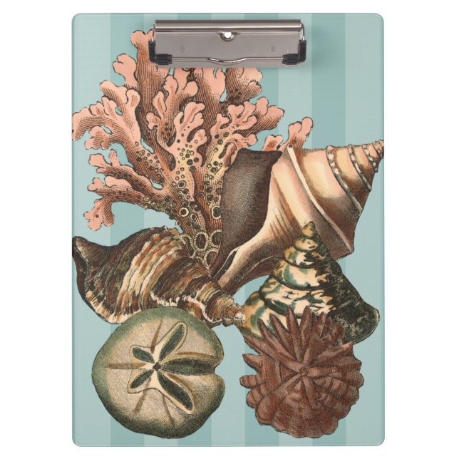 Carpeta De Pinza Silhouette Sea Life (Anverso)