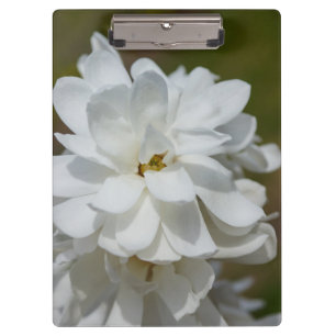 Carpeta De Pinza Silky Magnolia