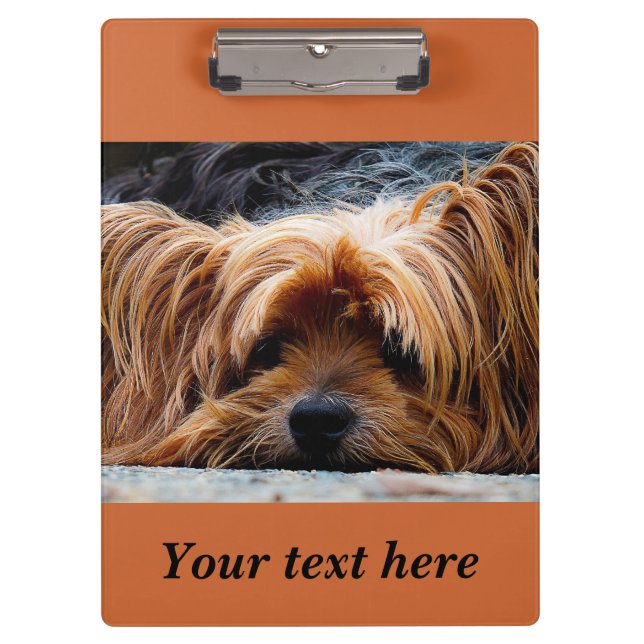 Carpeta De Pinza Sleepy Yorkshire Terrier Dog Photo Clipboard (Anverso)