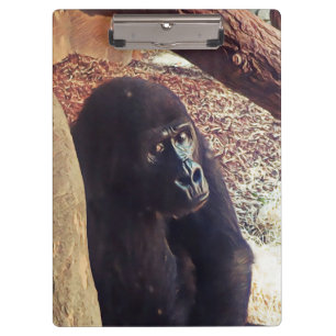 Carpeta De Pinza SmartMix Animal-Gorilla