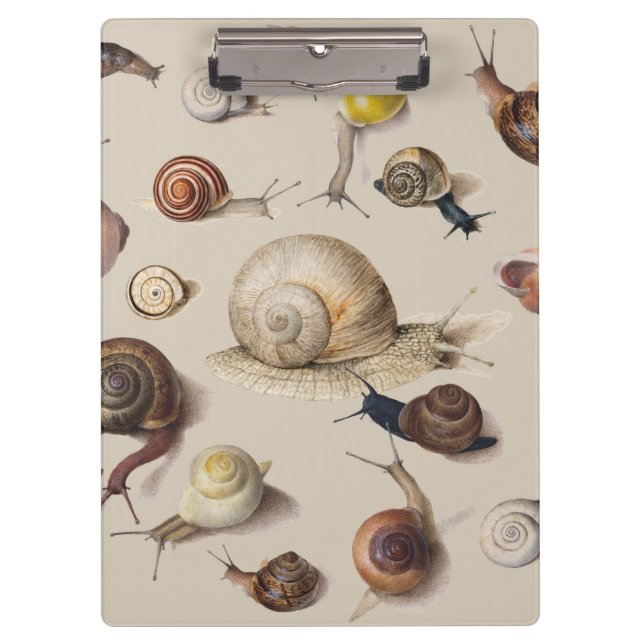 Carpeta De Pinza Snail Garden Mascota Gastropod Slug Caracoles botá (Anverso)