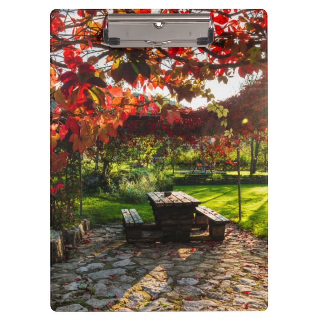 Carpeta De Pinza Sol a través de hojas de otoño, Croacia (Anverso)