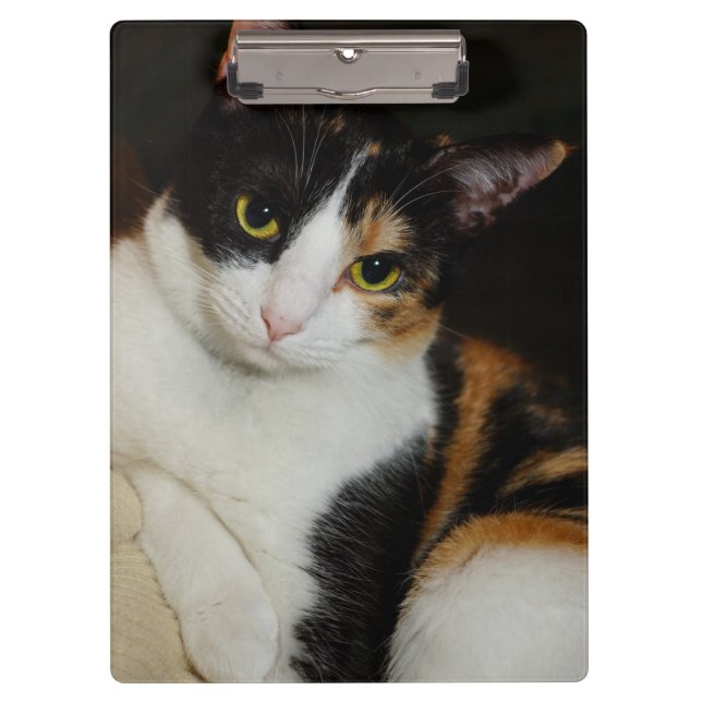 Carpeta De Pinza Sólo colgando alrededor (Anverso)