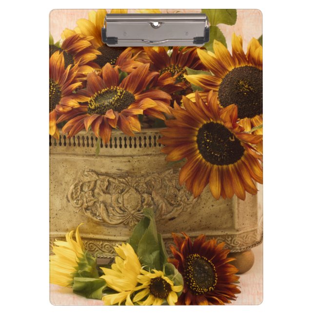 Carpeta De Pinza Sombras naranjas En La Cesta De Tin (Anverso)