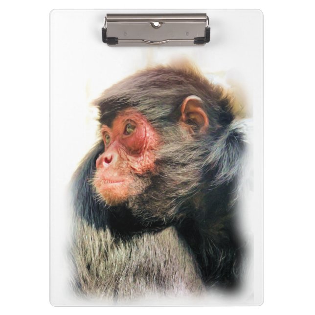 CARPETA DE PINZA SPIDER MONKEY (Anverso)