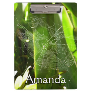Carpeta De Pinza Spiderweb en la naturaleza de las hojas tropicales