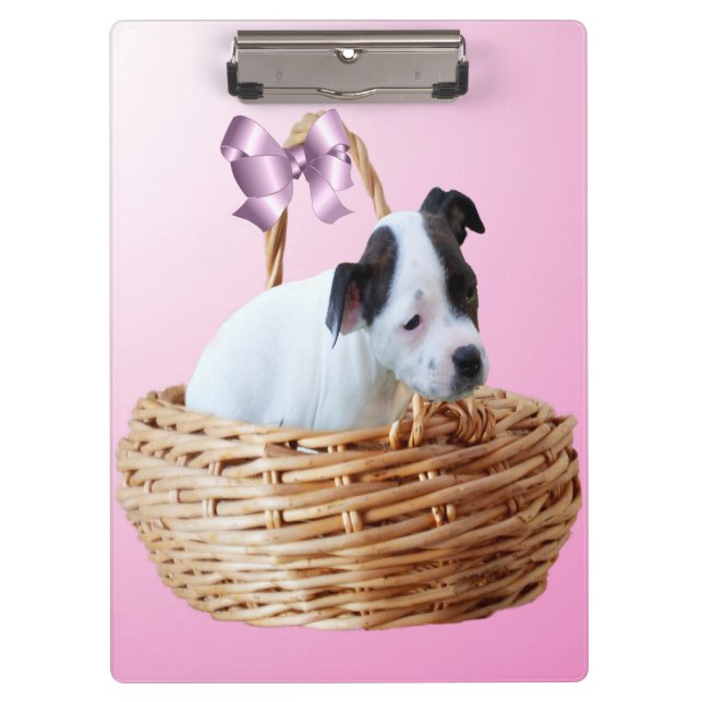 Carpeta De Pinza Staffordshire Puppy In A Basket,   (Anverso)