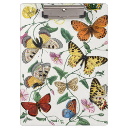 Carpeta De Pinza Study of diurnal butterflies by Paul Gervais