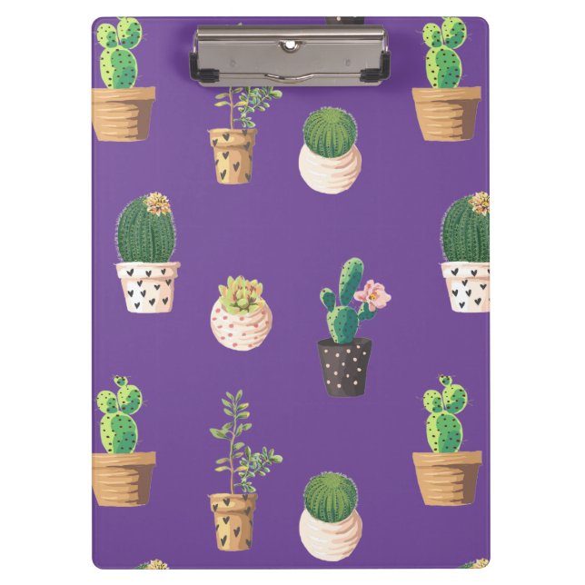 Carpeta De Pinza Suculento cactus de postre verde en macetas (Anverso)