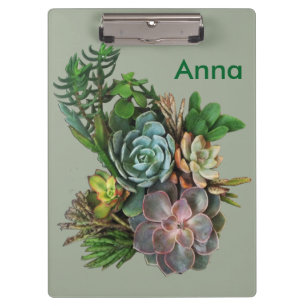 Carpeta De Pinza Suculentos de Sudáfrica
