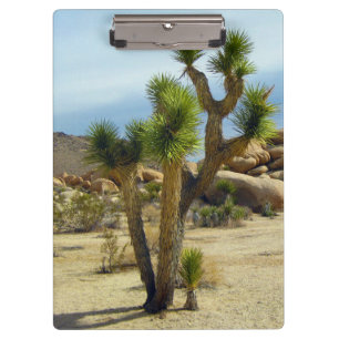 Carpeta De Pinza Suculentos, rocas y cielo despejado del desierto d