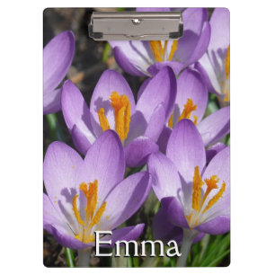 Carpeta De Pinza Sunny Purple Crocuses