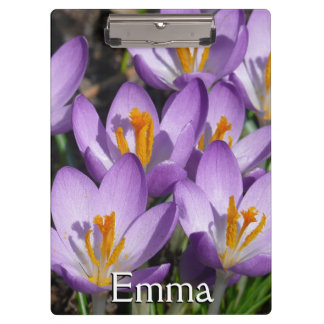 Carpeta De Pinza Sunny Purple Crocuses