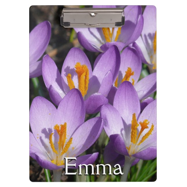 Carpeta De Pinza Sunny Purple Crocuses (Anverso)