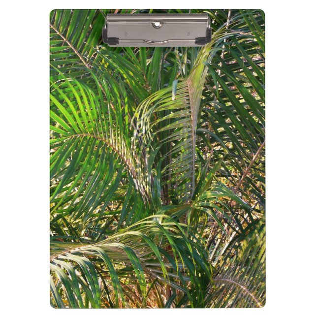 Carpeta De Pinza Sunset Lit Palm Fronds Tropical (Anverso)