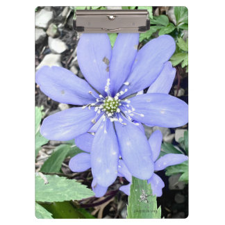 Carpeta De Pinza Susurro de los bosques - Flor silvestre de lilac e