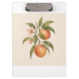 Carpeta De Pinza Sweet as a Peach | Vintage Peach Botanical Design