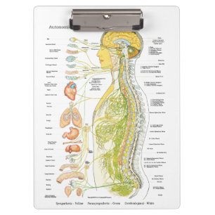 Carpeta De Pinza Tablero autonómico de la consulta médica del
