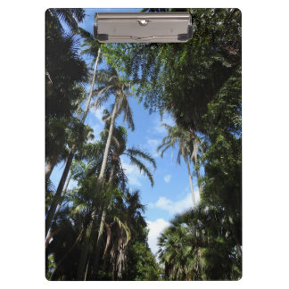 Carpeta De Pinza Tablero de la palmera