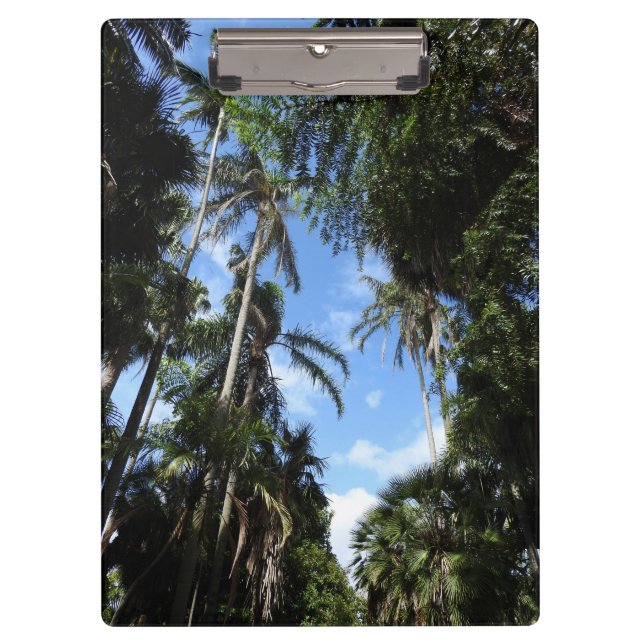 Carpeta De Pinza Tablero de la palmera (Anverso)