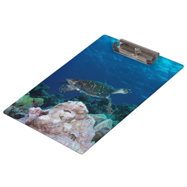 Carpeta De Pinza Tablero de la tortuga de mar (Angular)