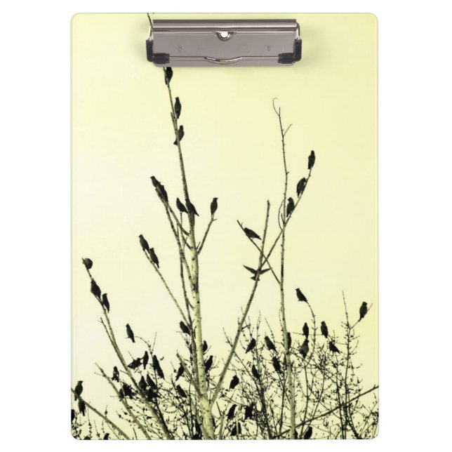 Carpeta De Pinza Tablero de los pájaros (Anverso)