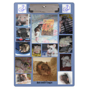 Carpeta De Pinza Tablero de Rattie