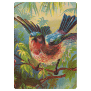 Carpeta De Pinza Tablero del Bluebird del verano