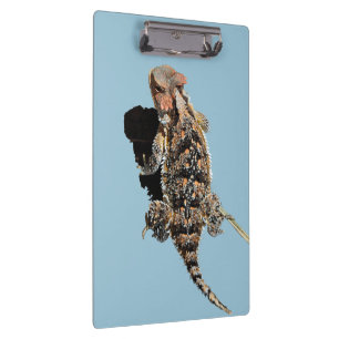 Carpeta De Pinza Tablero del lagarto de cuernos