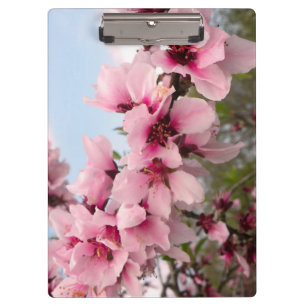 Carpeta De Pinza Tablero floreciente rosado de la rama
