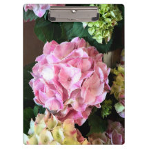 Tablero rosado bonito de Hygrangea