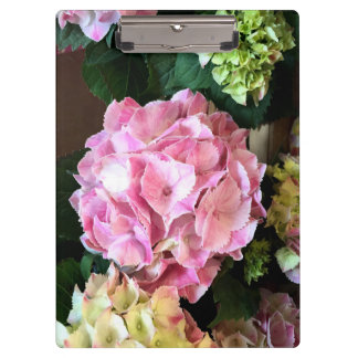 Carpeta De Pinza Tablero rosado bonito de Hygrangea