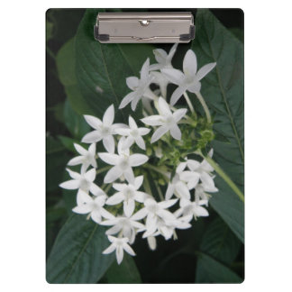 Carpeta De Pinza Tablero tropical blanco hermoso de las flores