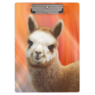 Carpeta De Pinza Tableros de la alpaca