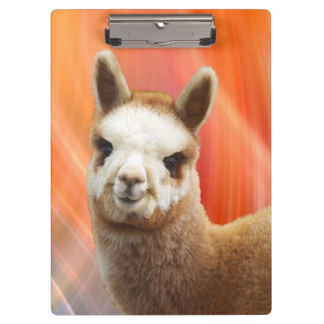 Carpeta De Pinza Tableros de la alpaca (Anverso)