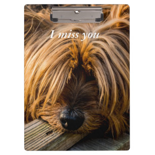 Carpeta De Pinza Te extraño