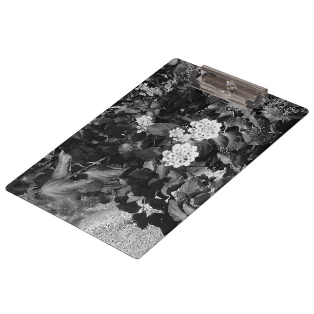 Carpeta De Pinza Tema floral nostálgico (Angular)