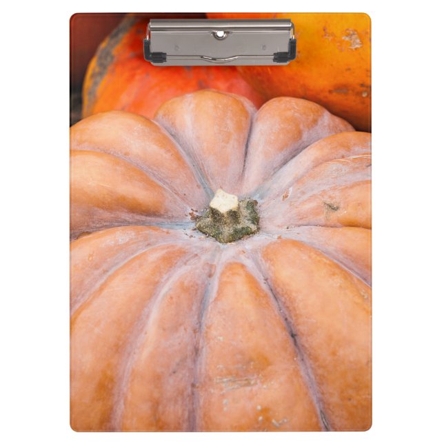 Carpeta De Pinza Temporada de calabaza (Anverso)