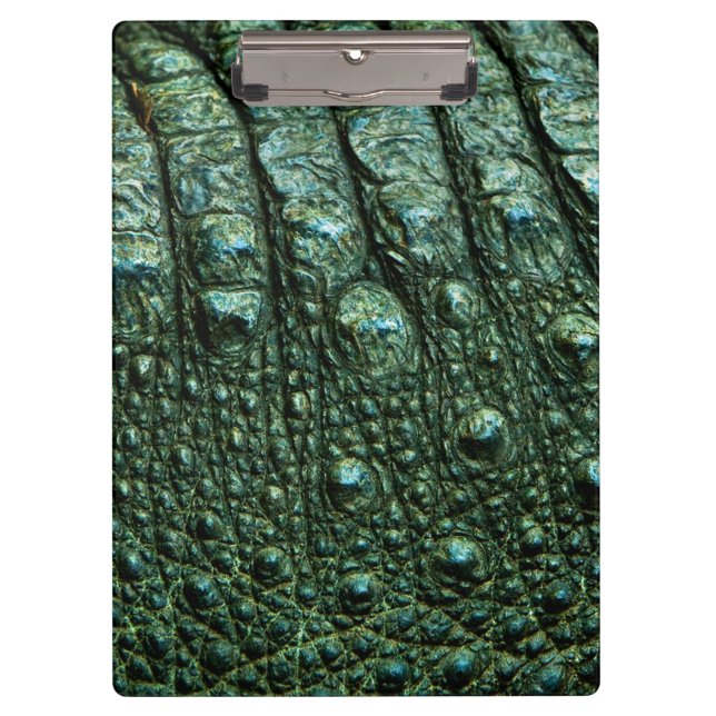Carpeta De Pinza Textura de piel de caimán verde (Anverso)