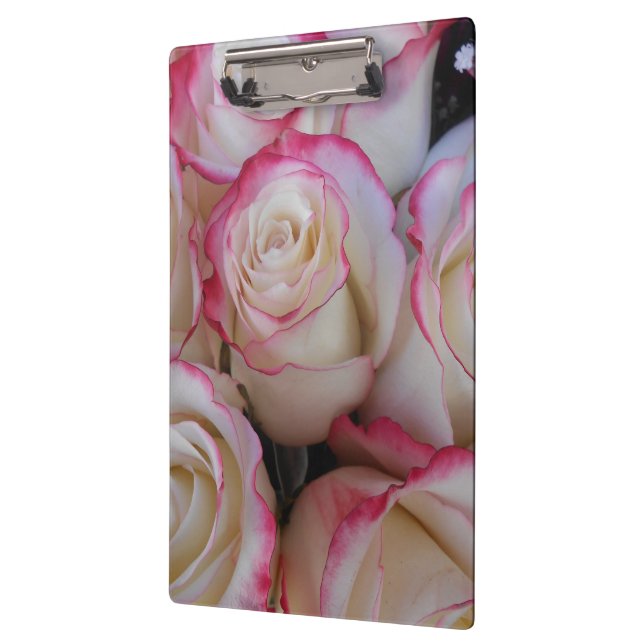 Carpeta De Pinza Thamar (Izquierda)