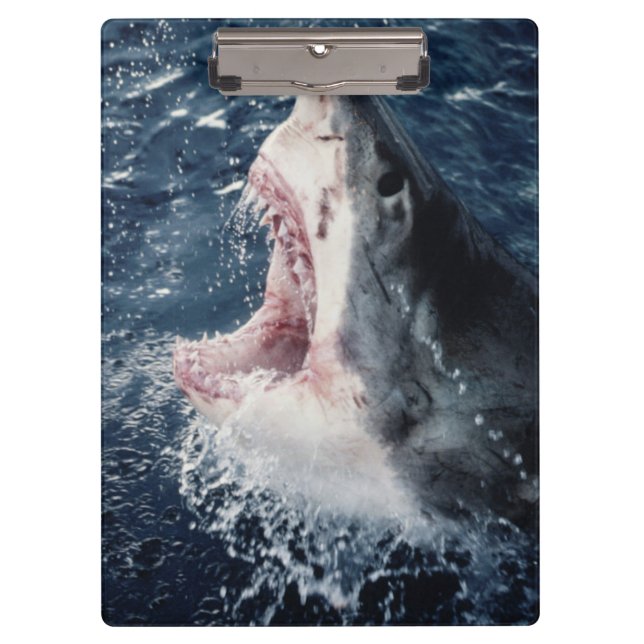 Carpeta De Pinza Tiburón elevado boca abierta (Anverso)