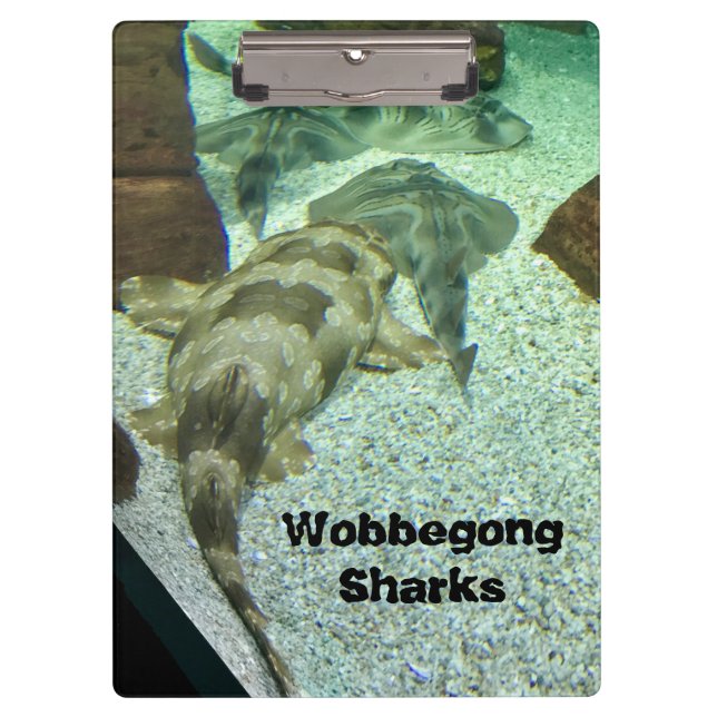 Carpeta De Pinza Tiburones Wobbegong (Anverso)
