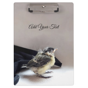 Carpeta De Pinza Tidi my Bird the Parus Major