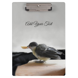 Carpeta De Pinza Tidi my Bird the Parus Major