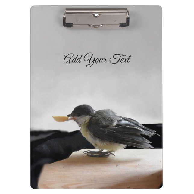 Carpeta De Pinza Tidi my Bird the Parus Major (Anverso)