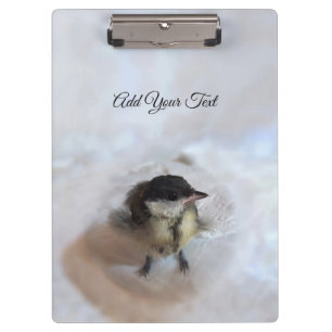 Carpeta De Pinza Tidi my Bird the Parus Major