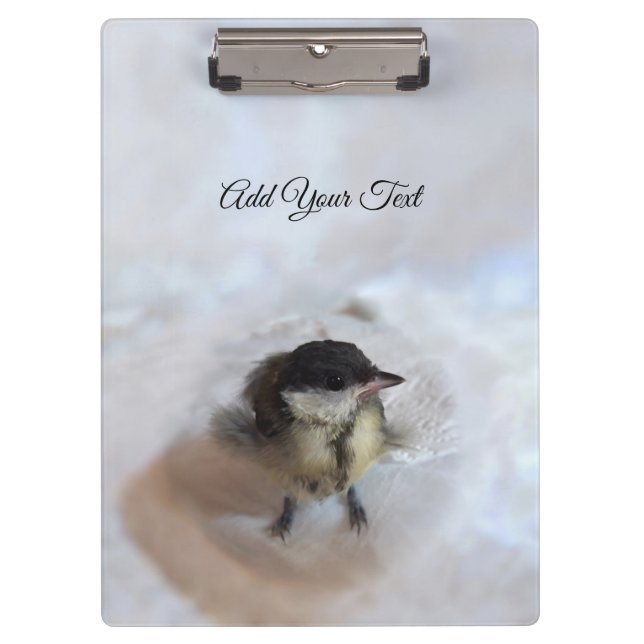 Carpeta De Pinza Tidi my Bird the Parus Major (Anverso)