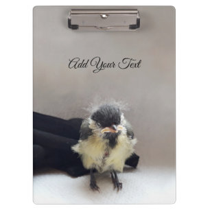 Carpeta De Pinza Tidi my Bird the Parus Major