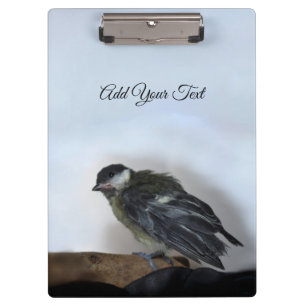 Carpeta De Pinza Tidi my Bird the Parus Major